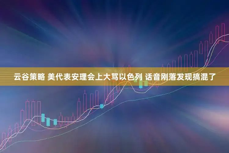 云谷策略 美代表安理会上大骂以色列 话音刚落发现搞混了