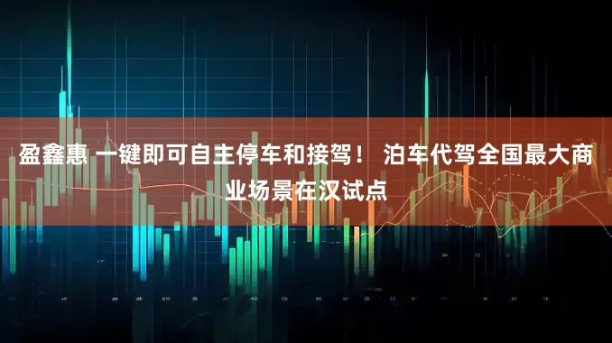 盈鑫惠 一键即可自主停车和接驾！ 泊车代驾全国最大商业场景在汉试点