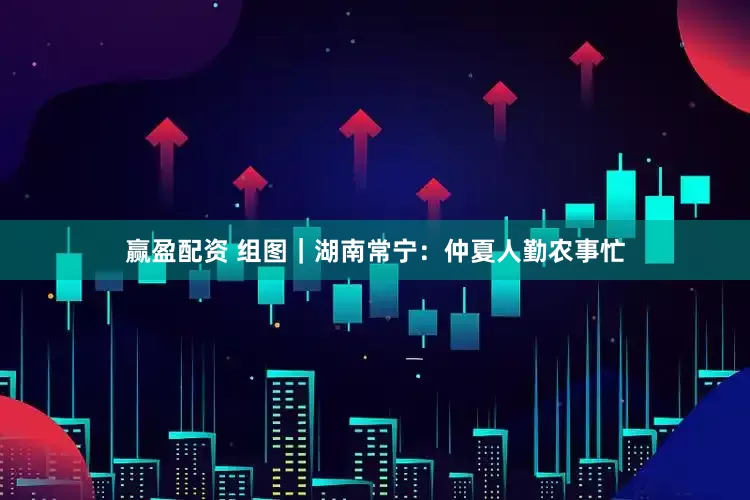 赢盈配资 组图｜湖南常宁：仲夏人勤农事忙
