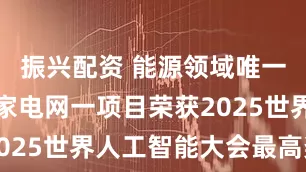 振兴配资 能源领域唯一入选！国家电网一项目荣获2025世界人工智能大会最高奖项