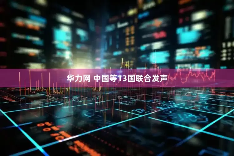华力网 中国等13国联合发声