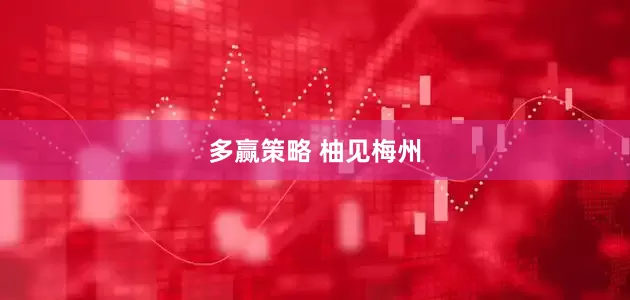 多赢策略 柚见梅州