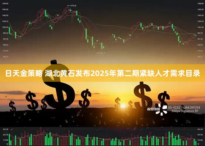 日天金策略 湖北黄石发布2025年第二期紧缺人才需求目录