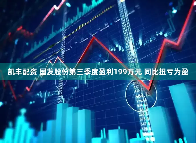 凯丰配资 国发股份第三季度盈利199万元 同比扭亏为盈