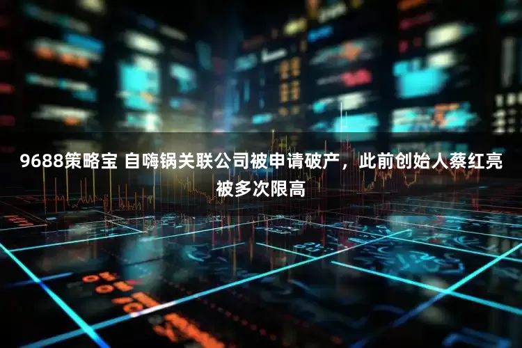9688策略宝 自嗨锅关联公司被申请破产，此前创始人蔡红亮被多次限高
