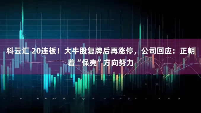 科云汇 20连板！大牛股复牌后再涨停，公司回应：正朝着“保壳”方向努力