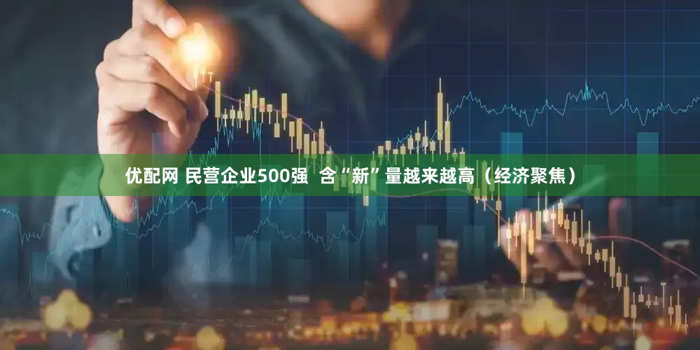 优配网 民营企业500强  含“新”量越来越高（经济聚焦）